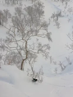 K2 Antidote 2024 Snowboard -Snowboard Deals Store Antidote2024Snowboard 2