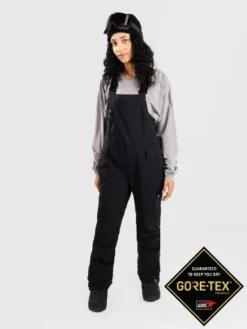 Roxy Gore-Tex Prism Bib Pants