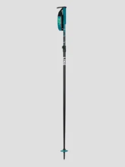 LINE Paintbrush 2024 Telescopic Poles