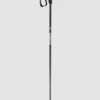 FACTION Prodigy 2024 Ski Poles
