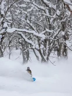 K2 Special Effects 2024 Snowboard 6 K2 Special Effects 2024 Snowboard -Snowboard Deals Store SpecialEffects2024Snowboard 2