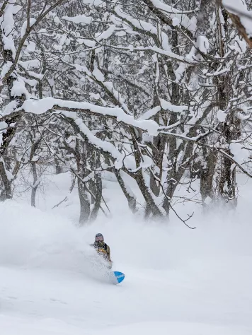 K2 Special Effects 2024 Snowboard 3 K2 Special Effects 2024 Snowboard - Image 3